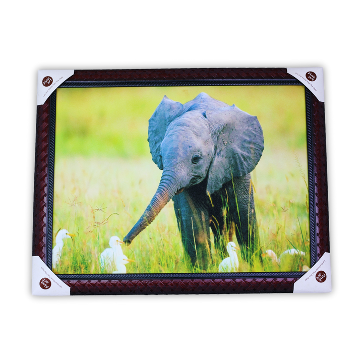 Picture Frame - Beautiful Wall hangings