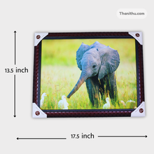 Picture Frame - Beautiful Wall hangings